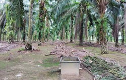 Gelang Patah, Johor 81550