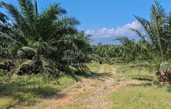 Sungai Siput, Kuala Kangsar, Perak 31100