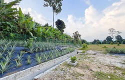 Hulu Selangor, Selangor 48200