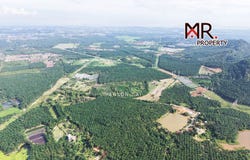 Bedong, Kedah