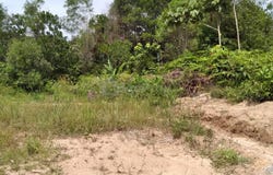 Klang, Selangor 42100