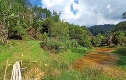 Bentong, Pahang 28750