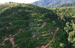 sungai siput , Kuala Kangsar, Perak 31100