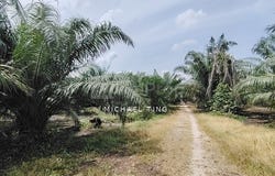Pontian, Johor 81500
