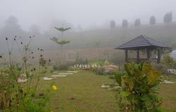 Genting Highlands, Pahang 69000