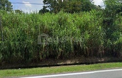 Pekan Nanas, Johor 81500