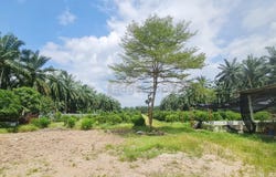 Kuala Selangor, Selangor 45600