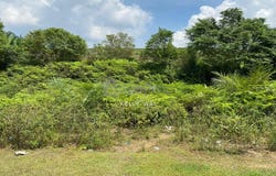 Senai, Johor 81400