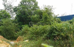 JALAN AMPANG HILIR, TAMAN U THANT , Taman U-Thant, Kuala Lumpur 55000