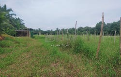 Kuala Langat, Selangor