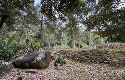Bukit Mertajam, Penang 14000