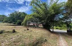 Sungai Buloh, Selangor 40160