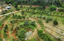 Batang Kali, Selangor 44200
