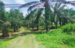 Klang, Selangor 42200