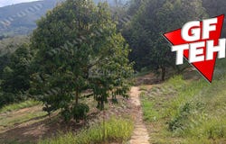 Ipoh, Perak 31400