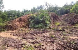 Tanjung Malim, Perak 35900