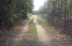 Jalan BBLS, Bangi, Selangor 43000