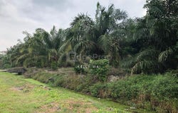 Pontian, Johor 82000