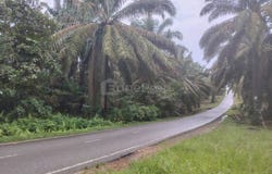 Kluang, Johor 86200