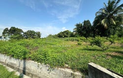Bandar Cyber, Ipoh, Perak 31350