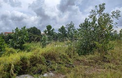 Senai, Johor 81400