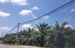 Kuala Selangor, Selangor 45600