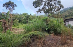 Semenyih, Selangor 43500