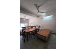 Petaling Jaya, Selangor 47300