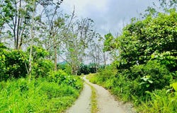 Bentong, Pahang