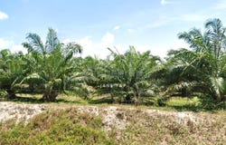 Jalan Changkat Jering, Manjung, Perak 34900