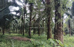 RAWANG, Selangor 48200