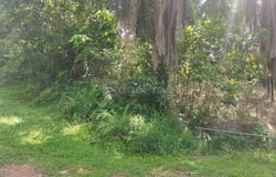Sepang, Selangor 43900