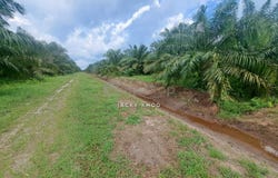Banting, Selangor 42700