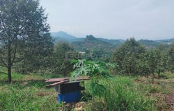 Hulu Selangor, Selangor 44000