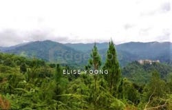 Bukit Tinggi, Bentong, Pahang 28750