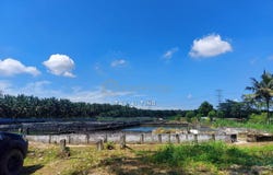 Johor Bahru, Johor 81700