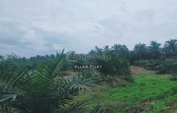 Kuala Langat, Selangor