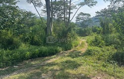 Batu Pahat, Johor Bahru, Batu Pahat, Johor 83000