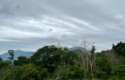 Bukit Tinggi, Bentong, Pahang 28750