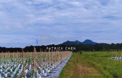 Taiping, Perak