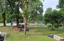 Kota Damansara, Selangor