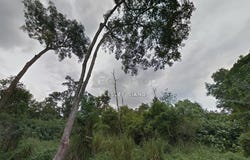Kulai, Johor 81000