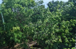 Ara Damansara, Ara Damansara, Selangor
