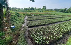 Klang, Selangor 41200