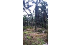 Jenjarom, Selangor 42600
