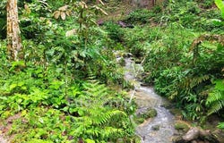 Jalan Sungai Penchala, Kampung Sungai Penchala, Kuala Lumpur 60000