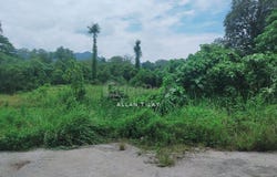 Kerling, Selangor 44100