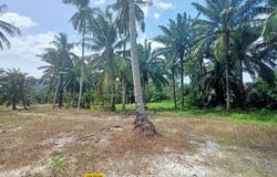 Manjung, Perak 0