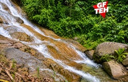 Balik Pulau, Penang 11000