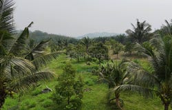 jalong, Sungai Siput, Perak 31100